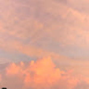 Meet your Posher, Orquideaa